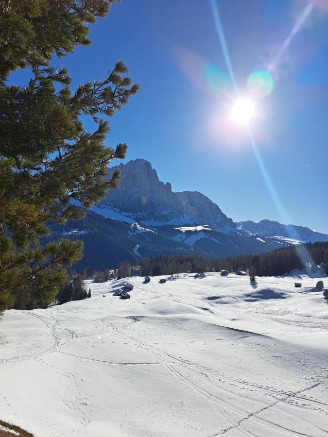Residence Casa Metz Santa Cristina Val Gardena ภายนอก รูปภาพ